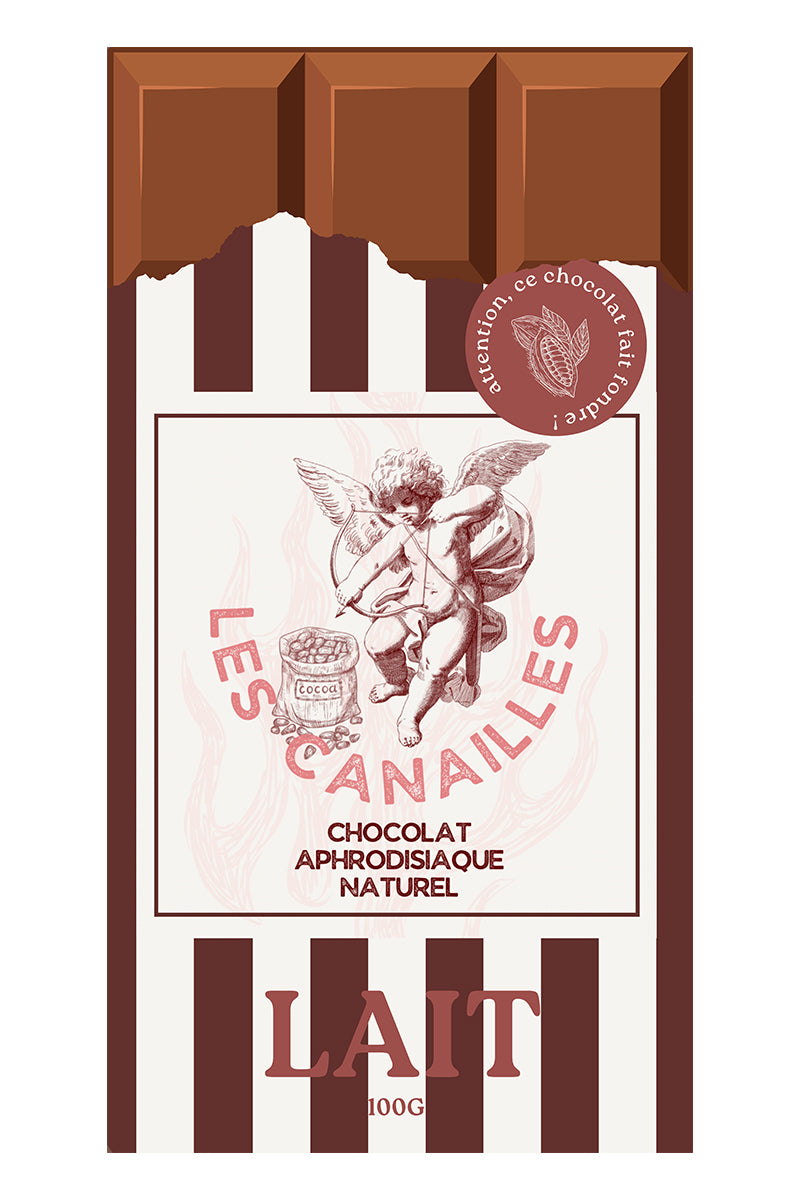 Chocolat au lait - Tablette 100g - Les canailles